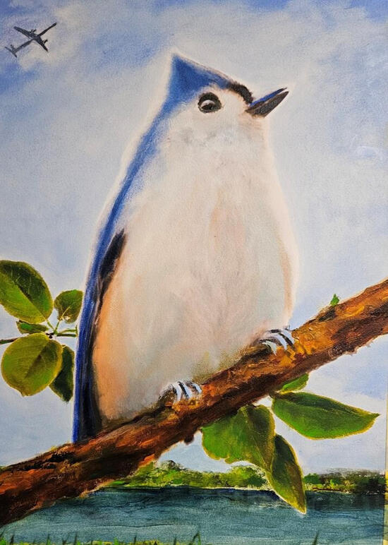 The Tufted Titmouse