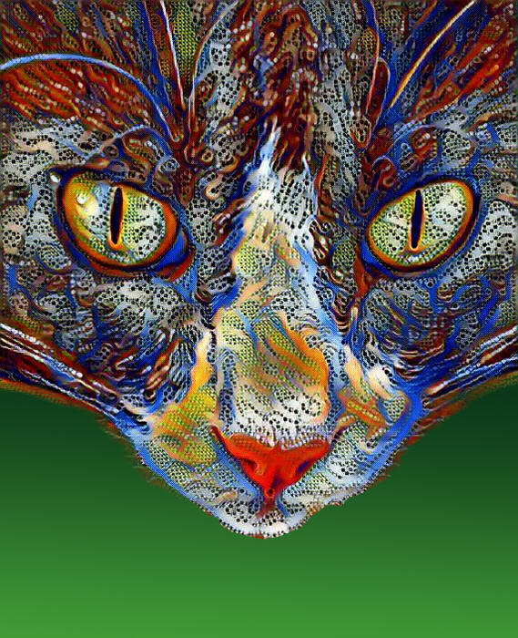 Jazz Cat