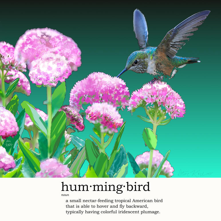 Hummer
